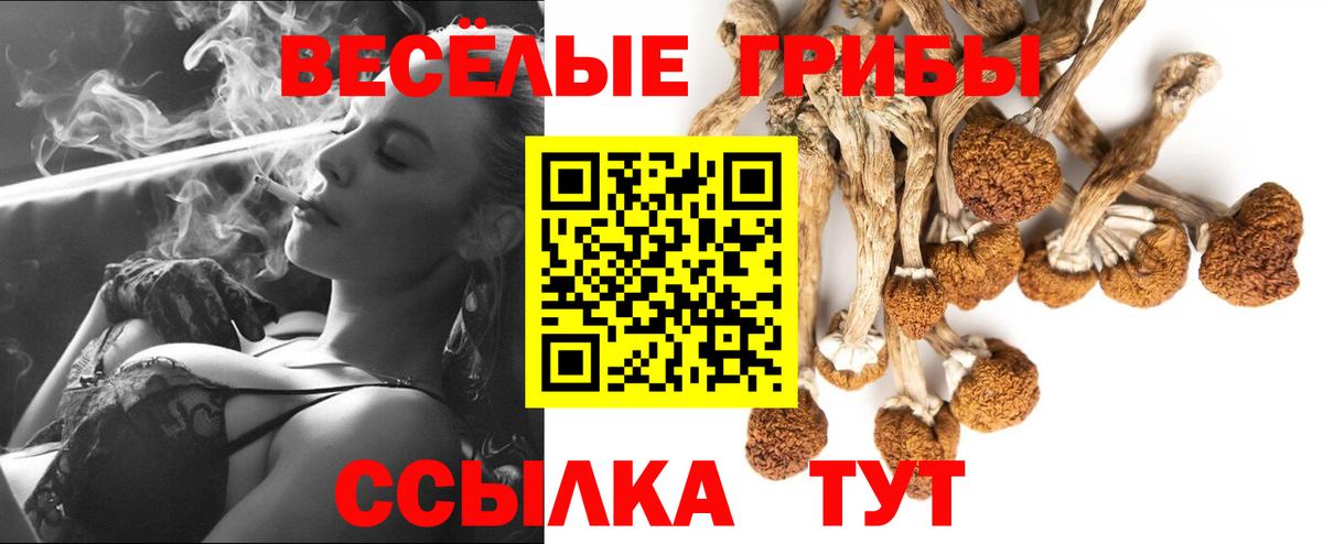 Псилоцибиновые грибы мицелий  Псилоцибиновые грибы Magic Shrooms  Вход с VPN  Топки 