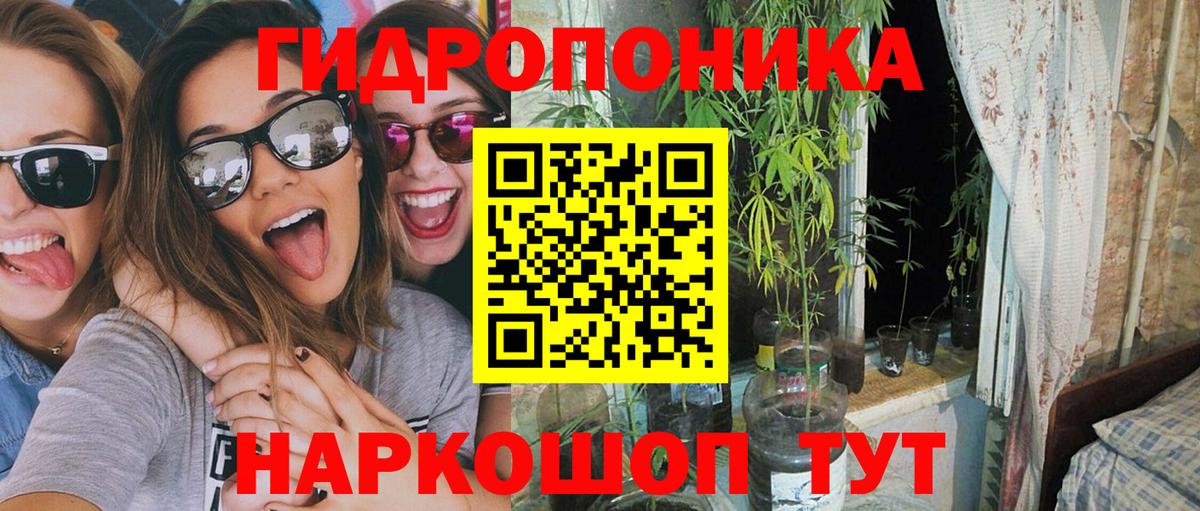 МАРИХУАНА Ganja  Каннабис сатива  Марихуана план  Топки  Вход с VPN 